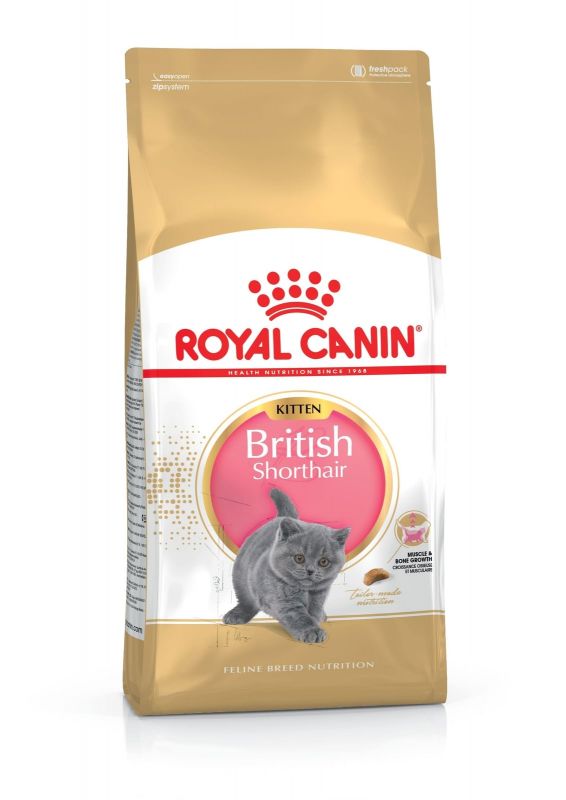 Royal Canin British Shorthair Kitten сухий корм для кошенят породи британська короткошерста